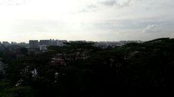 The Skywoods (D23), Condominium #580234541